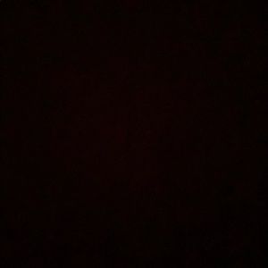 Meet your Posher, Arieh